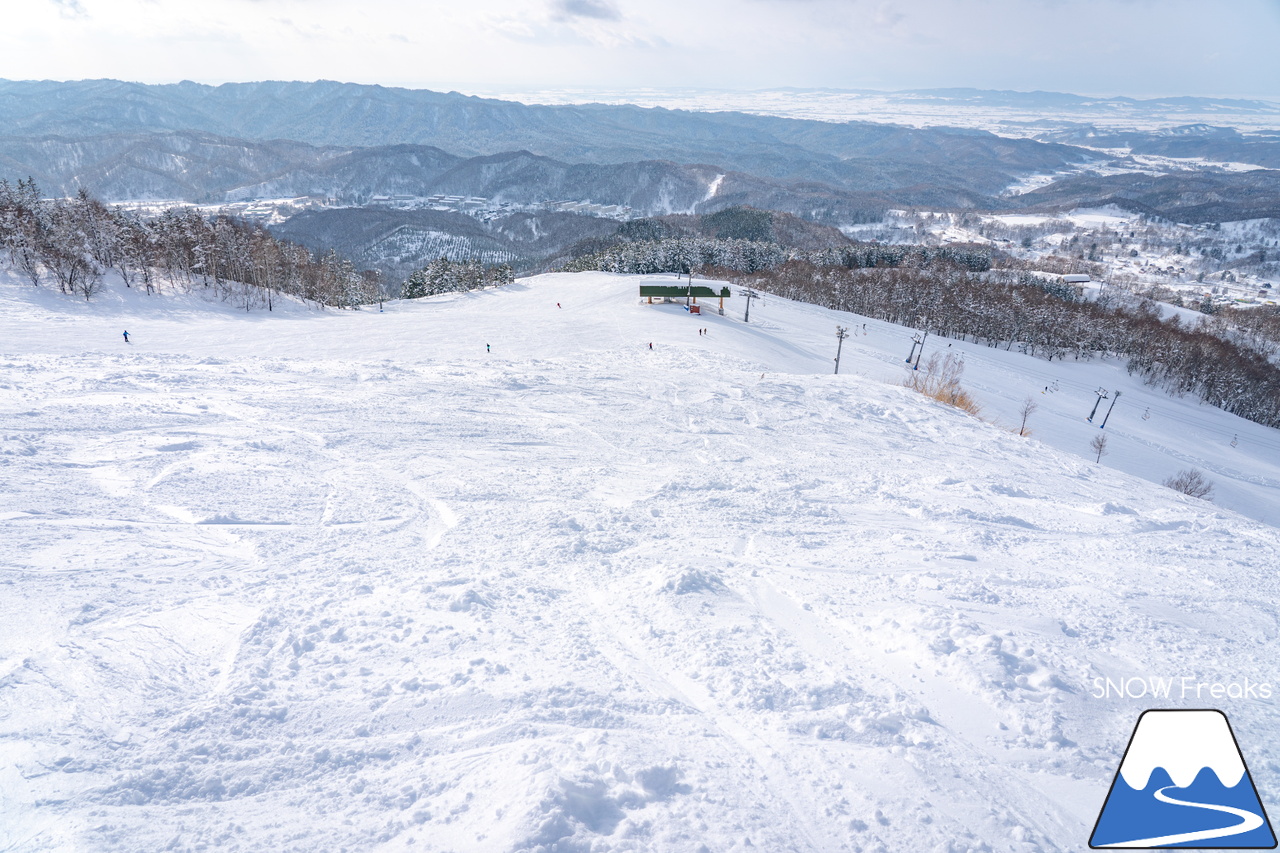 マウントレースイ｜お正月の記録的な大雪でゲレンデのコンディションはバッチリ！凸凹の未圧雪エリアを楽しみましょう♪